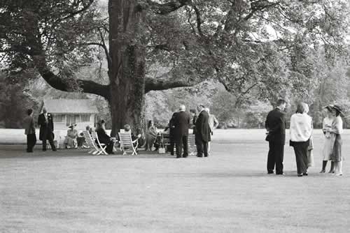 Wedding photograph