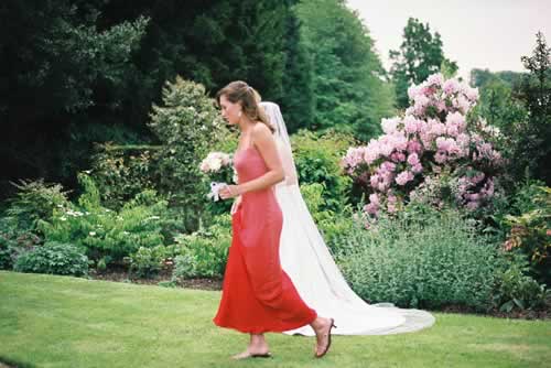 Wedding photograph