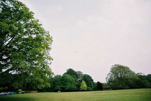 Wedding photograph