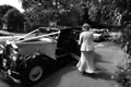 Wedding photo
